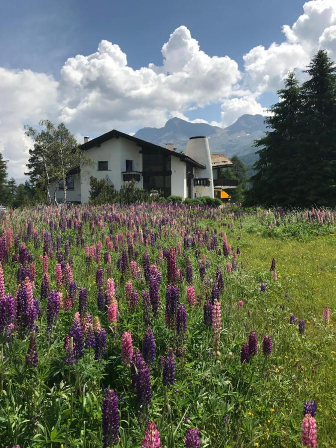 Chesa Suot Ovas Apartment Sils Maria Exterior foto