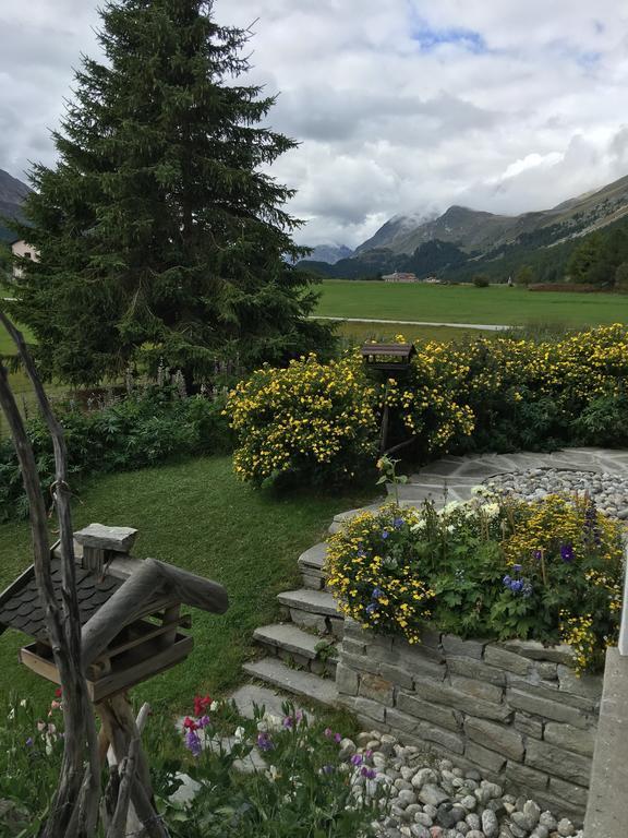 Chesa Suot Ovas Apartment Sils Maria Cameră foto